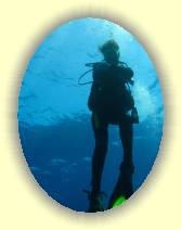 IMG_2007_05_29 14_49_20 * 2304 x 3072 * (583KB)